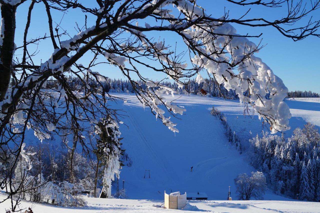 Hotel Pension De Gasterei Winterberg Ngoại thất bức ảnh